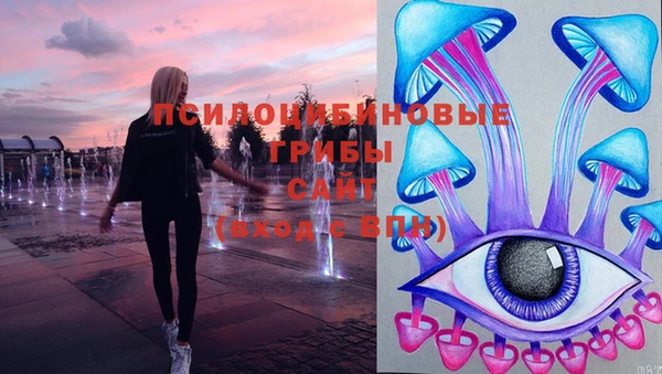 не бодяженный Абаза
