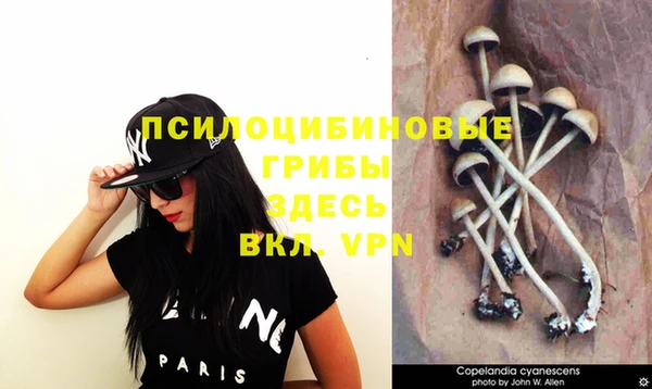 синтетический гашиш Алексеевка