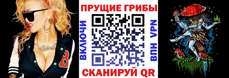 kraken как войти Якутск Псилоцибиновые грибы ЛСД магазин продажи
